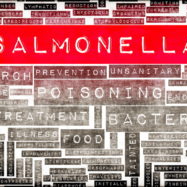Salmonella is often behind EU outbreaks, but most deaths are caused by Listeria