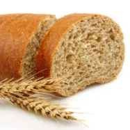 Scientists expose the scale of mycotoxins in wheat problem