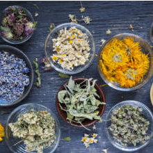 ABC 2021 Herb Market Report: Herbal Supplements in the U.S. Topped $12 Billion