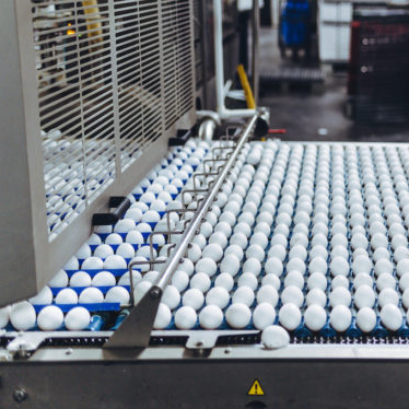 Growth of cage-free eggs may be paused while producers deal with shortages and high prices