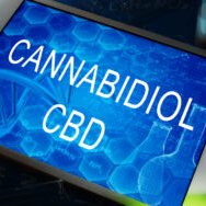 FDA decides CBD products have unknown dangers that Congress should look at