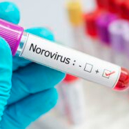 Health officials warn of norovirus spike in England; 66 percent more cases