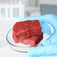 What Will It Take to Bring Cultivated Meat to Market?