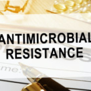 Data reveals scale of AMR challenge in Europe