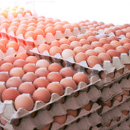 Moldova allowed to send poultry meat and eggs to Europe