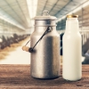Eucolait condemns Poland, Hungary and Slovakia for Ukraine dairy ban