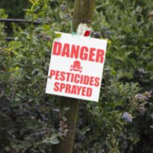 Preliminary decision to allow pesticide chlormequat use pits EPA against EWG