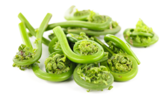 Food safety for fiddleheads: Tips for safe consumption