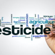 EFSA publishes 2021 pesticides in food findings