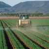 Pesticides face fresh scrutiny as activists find Californian crops soaked in “forever chemicals”