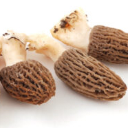 More added to outbreak count in relation to morel mushrooms served in Montana