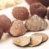 MycoTechnology discovers natural sweet protein derived from honey truffle