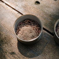 EFSA opens door for yellow mealworm powder as novel food