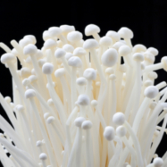 UK plans stricter inspections of enoki mushrooms and tahini; seeks public comment