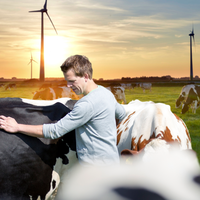 FrieslandCampina and Mondelēz International ally to reduce milk sector emissions