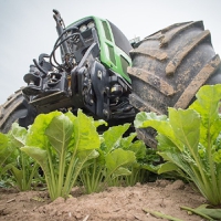 EU sugar beet sector on track to carbon neutrality and lays out industrial strategies