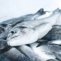 China bans Japanese seafood imports amid concerns over Fukushima’s “radioactive” water release plan