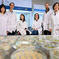 Cell-based fruit: Researchers combine plant biology and food science to explore cellular horticultur