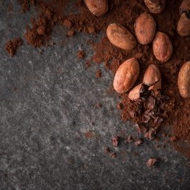 Cacao of Excellence redefines industry standards with new guide