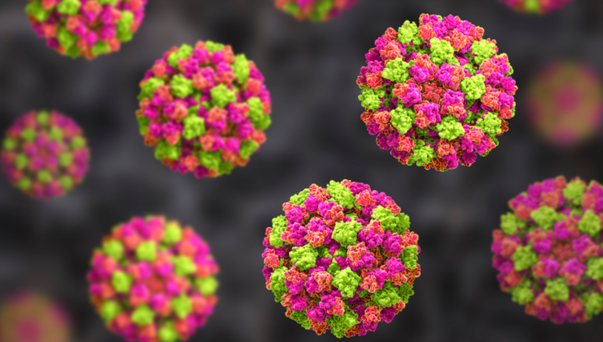 Norovirus behind most outbreaks and illnesses in Sweden