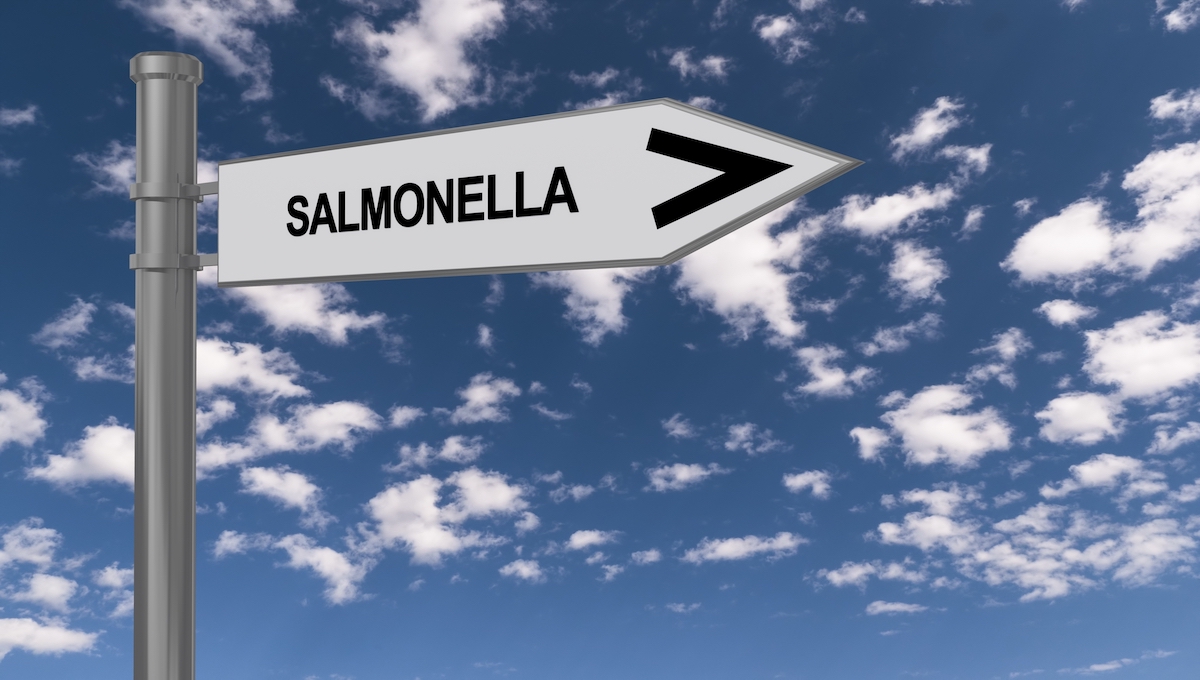 New Salmonella outbreak underway; FDA looking for source of the pathogen