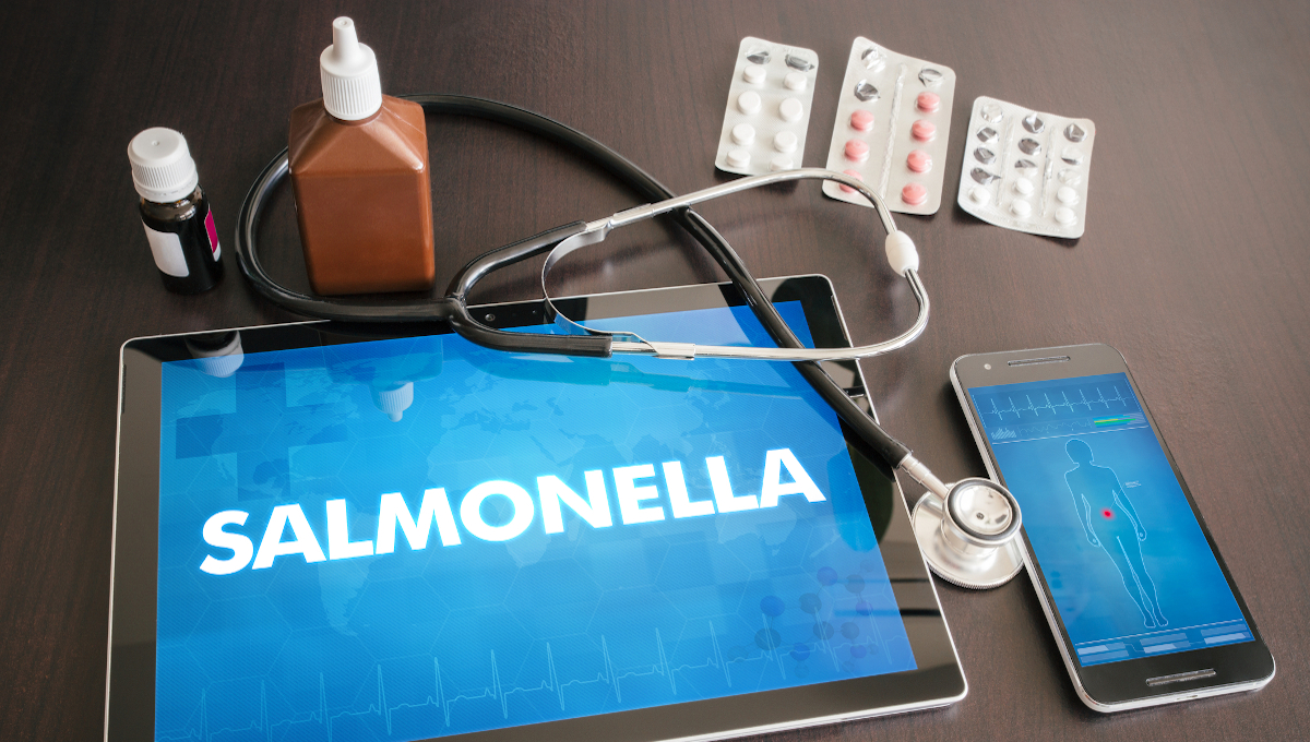 Spain records Salmonella and Yersinia increases in 2022