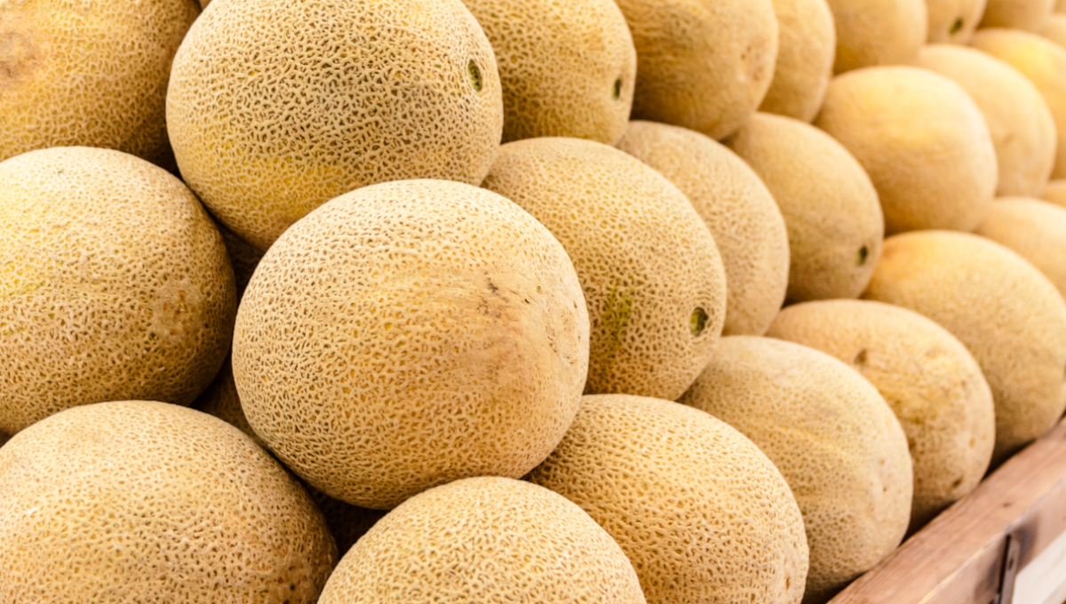 Farms in Indiana implicated in recent cantaloupe outbreak, but FDA has not named them