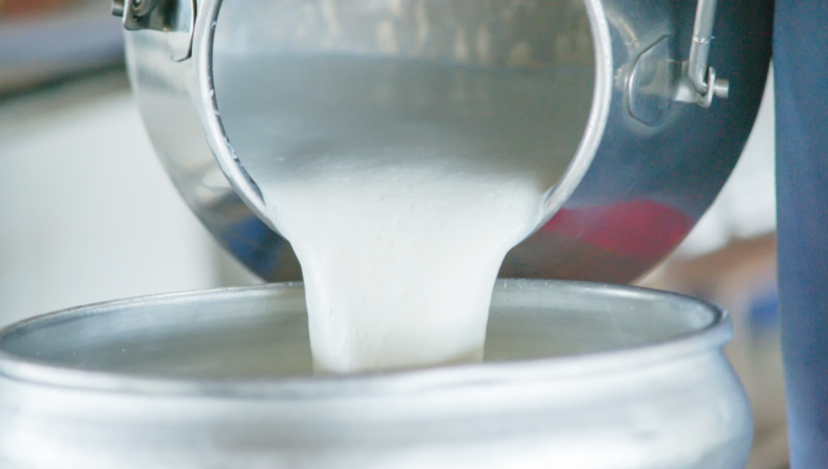 Investigators find Salmonella patients drank raw milk before becoming ill