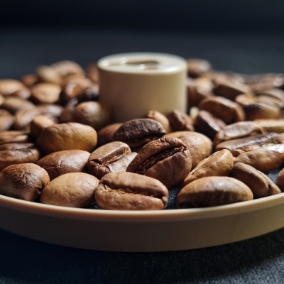 “World’s first” regenerative agriculture labeled coffee to be launched by Illy Caffè
