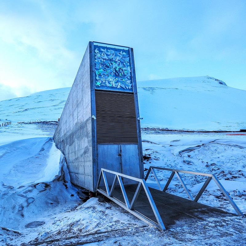 Frozen in time: Ghana and Germany safeguard seeds of the future in arctic “Doomsday Vault”
