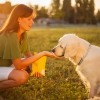 European Council updates organic pet food labeling rules and provides transition phase