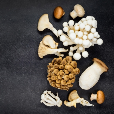 Digitizing cultivation: AI at the root of organic gourmet mushroom project growing alt-protein in ci