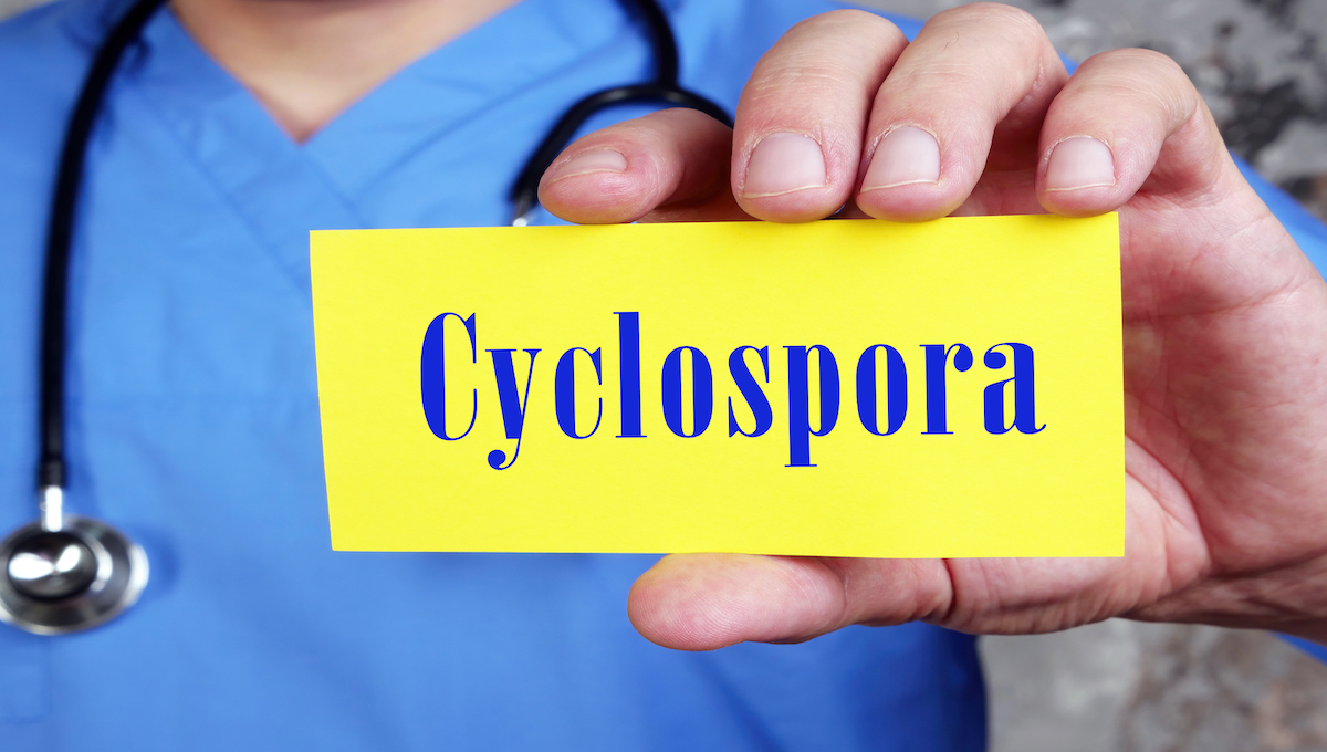 Report takes a deep-dive into the nasty Cyclospora parasite