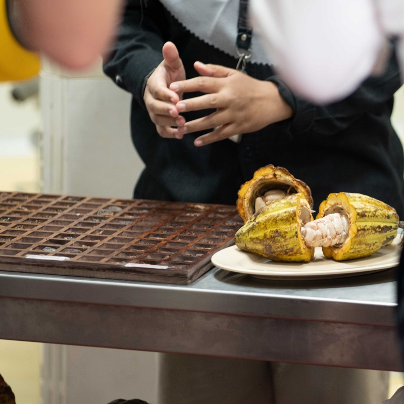 Cargill unveils cocoa development center in Asia-Pacific for sweet revolution
