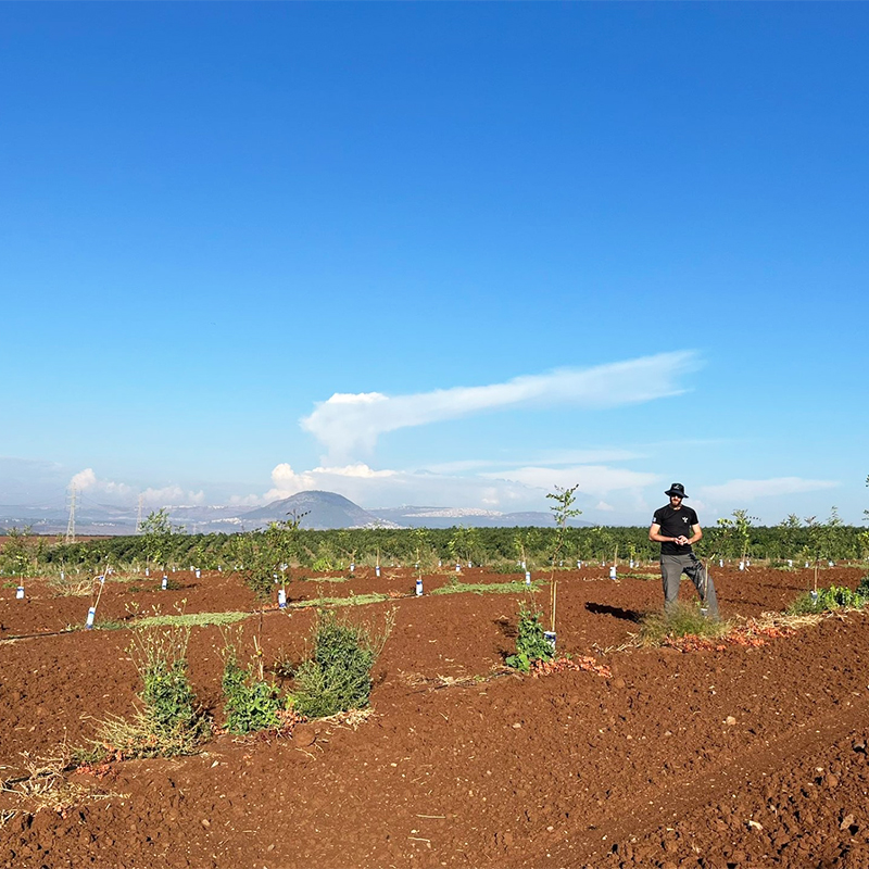 You are in : Industry News > Israel’s food technology sector battles wartime upheaval as Hamas co