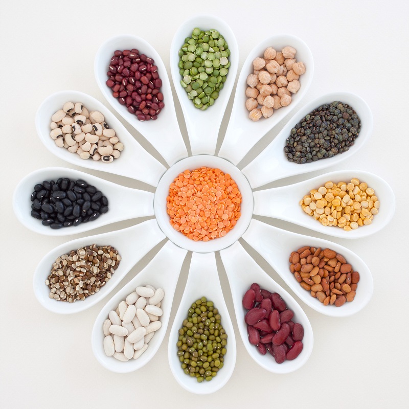 Alternative proteins: Pulses poised for growth while new technologies projected to drive taste, text