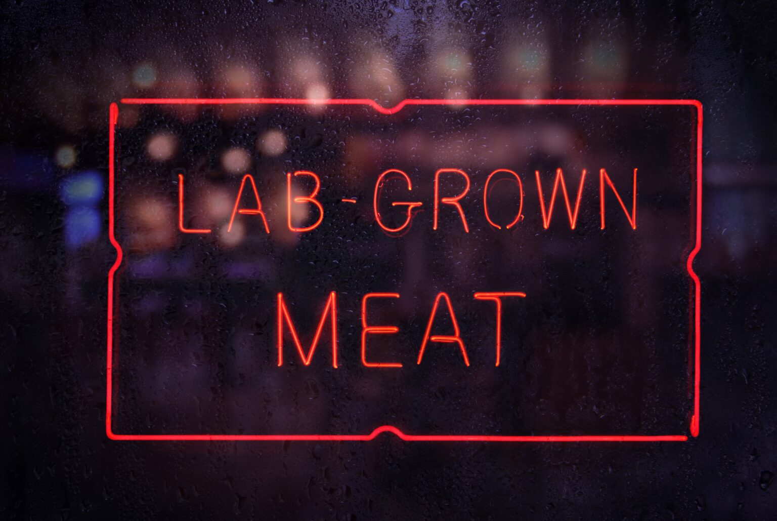 A new window opens for the emerging lab-meat industry