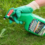 Massive petition to EPA wants to kill herbicide glyphosate known to many as Roundup