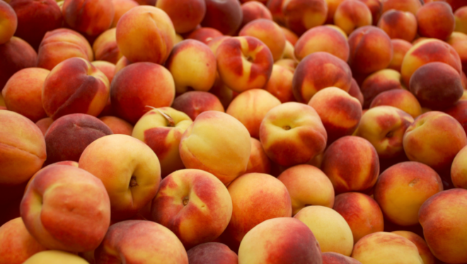 Study looks at using antimicrobials in coatings for stone fruits to make them safer and last longer