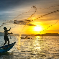 “Keepin’ it Shrimple”: Plant-based shrimp innovation poised to tackle rising seafood concerns