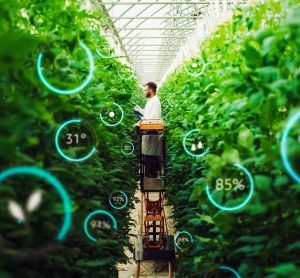 Expert predicts AI fuelled “fourth agricultural revolution”