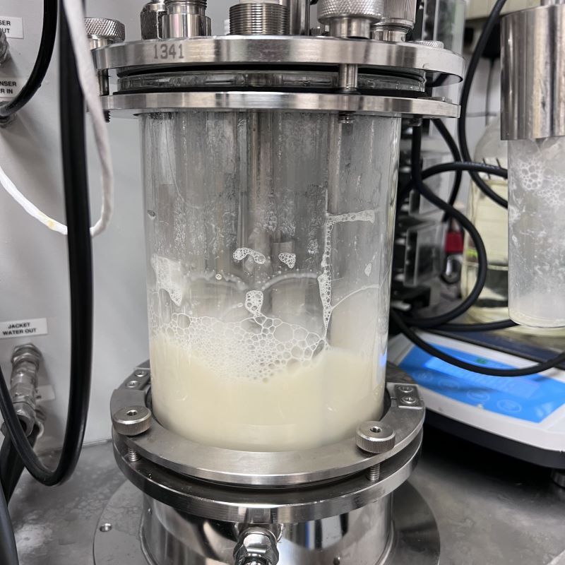 Infant formula innovation: Yali Bio leverages precision fermentation to introduce human breast milk 