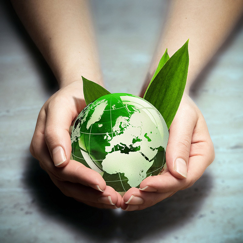 BEUC helps businesses navigate new EU Greenwashing Directive