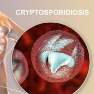 Study details Cryptosporidium situation in Sweden