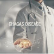 Scientists call for foodborne estimates to include Chagas disease