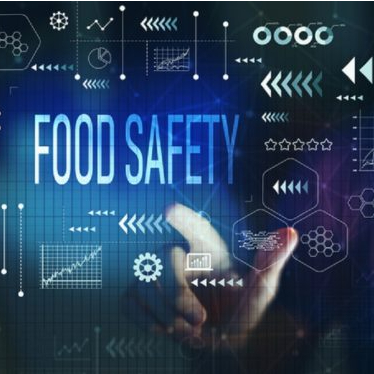 Two agencies share the journey of using digital in food control systems