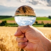 European Parliament backs nature restoration law as farmers fear financial fallout