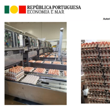 Operations in Portugal lead to seizures of various food products