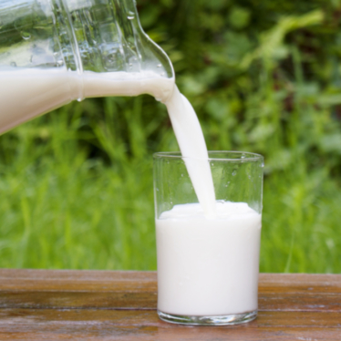 States take sides in the raw milk debate