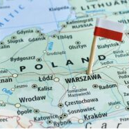 Polish poultry meat sector insists products are safe